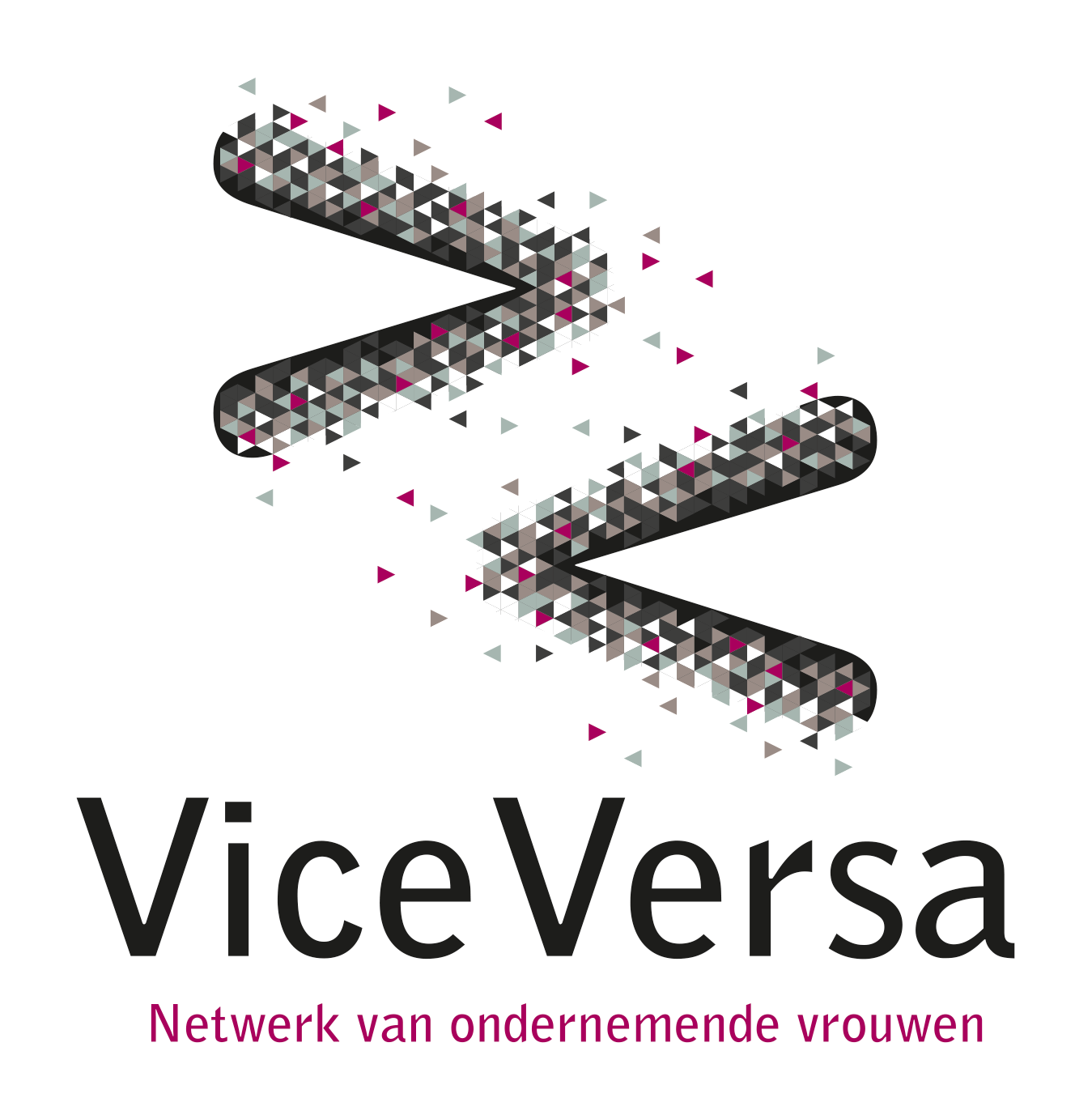 Vice Versa Gelderland